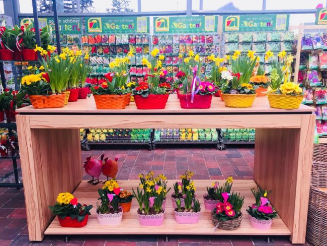 28168406_1806147626354076_2771996040166903576_n