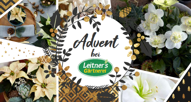 Weihnachtsausstellung 2019